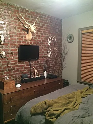 Rented by Brooklyn Real Estate Services | media 17