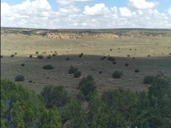 1587 State Highway 36 Hwy, Fence Lake, NM 87315
