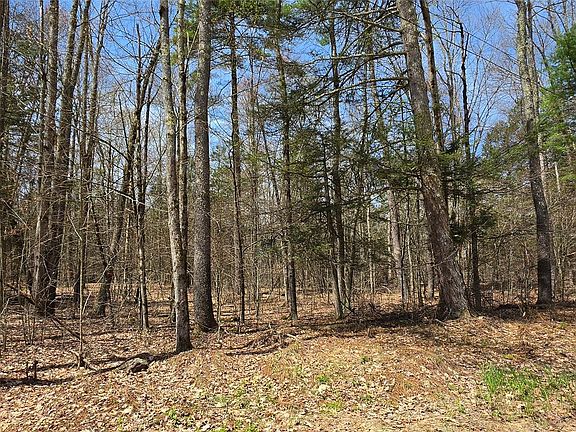 3rd image of Lot 12 Tyler Road