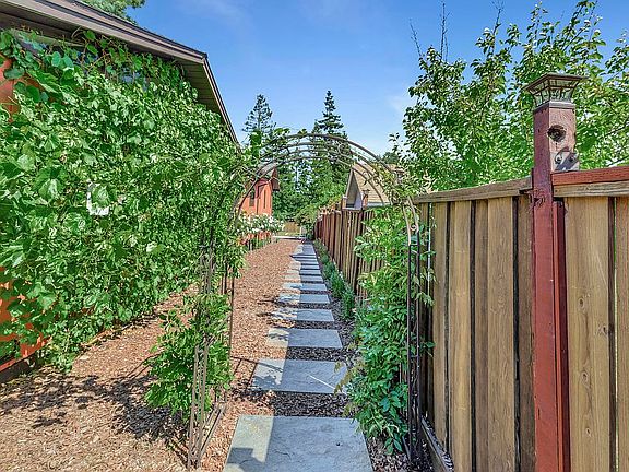 West Walk #2 & Grape Vines