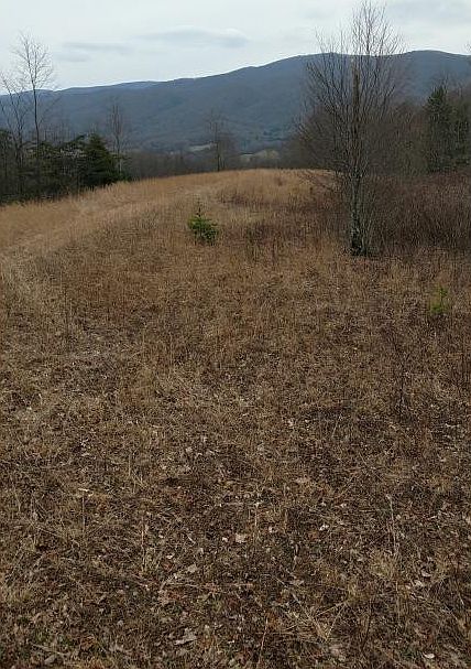 2nd image of 299 Hodge Branch Rd