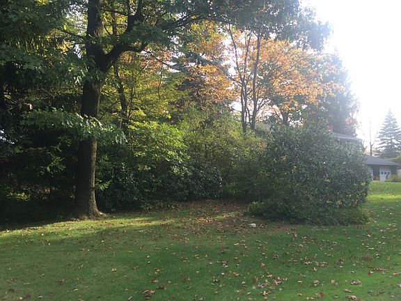 Side yard w/ additional lot