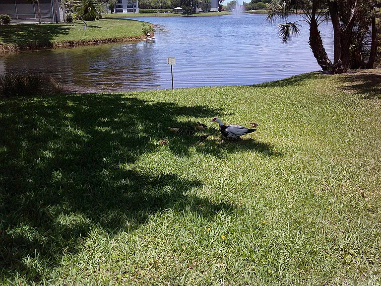9420 Poinciana Pl #409 — Photo 9