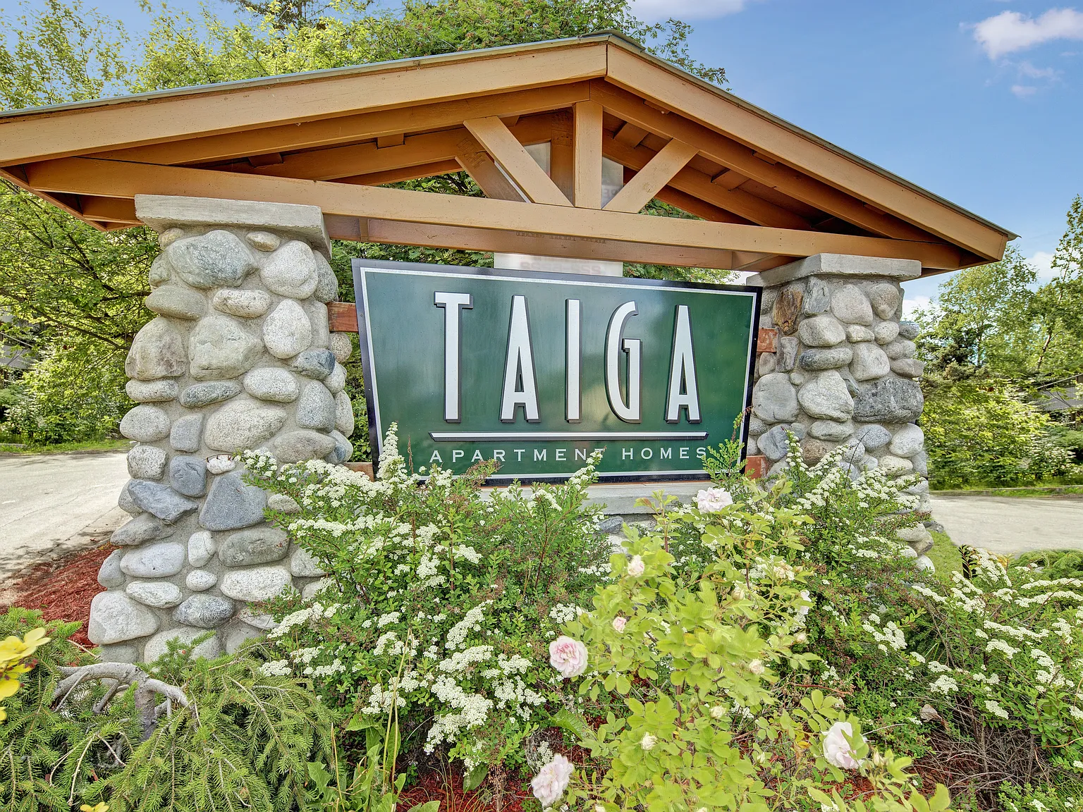 Taiga — Photo 2