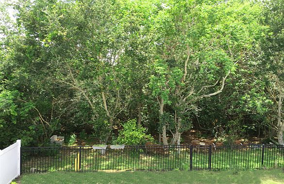 1st image of 6646 Mangrove Chase Ave