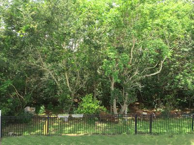 6646 Mangrove Chase Ave, Orlando, FL, 32809