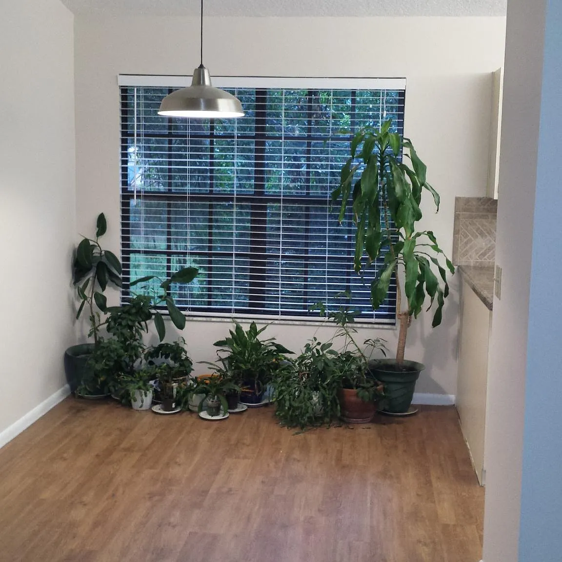 2 bed, 900 sqft, $1,795 — Photo 4