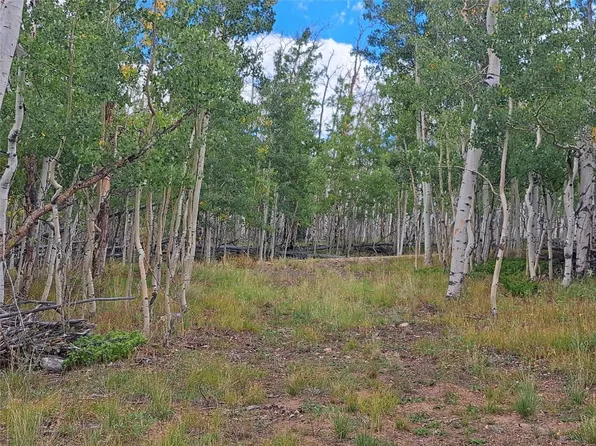 727 French Pass Cir, Jefferson, CO 80456