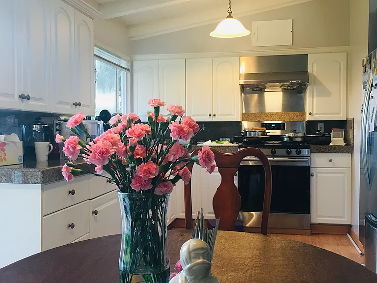 868 Lakehaven Dr — Photo 5