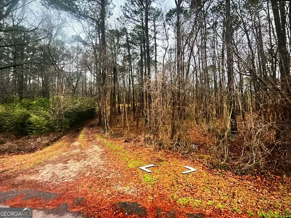 5432 Hearn Rd, Ellenwood, GA 30294