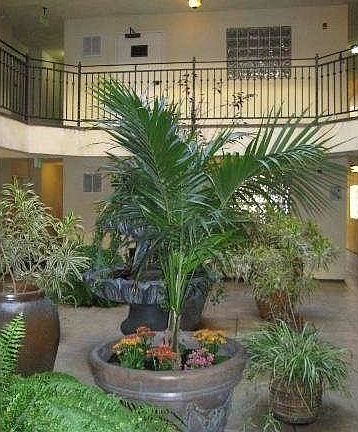 2nd image of 1117 N Orange Dr APT 309