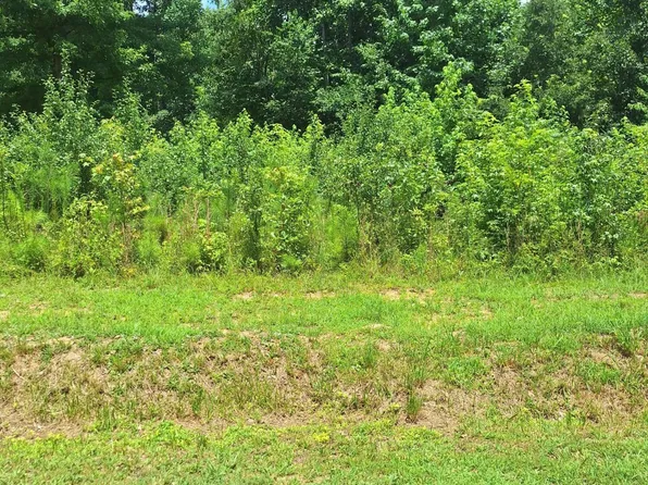 0 Carver St #10/11, Franklinton, NC 27525
