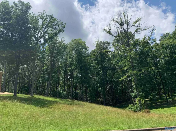 208 Heritage View Cir, Gurley, AL 35748