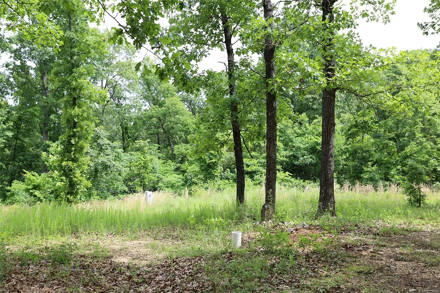 14762 Gobblers Knob Rd photo 1