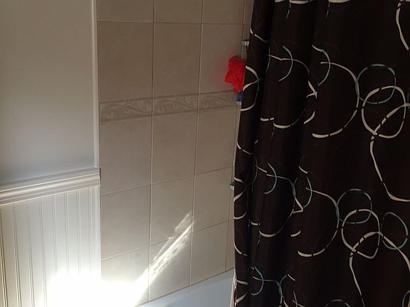 Tiled shower downstairs 