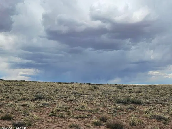 7758 Quartzsite St, Holbrook, AZ 86025