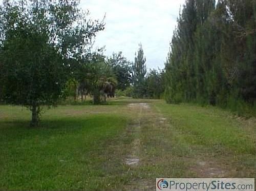 4th image of 5871 Swaying Palm Dr