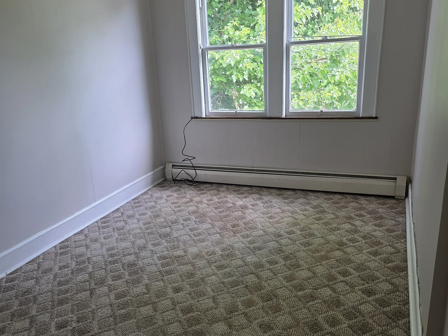 2 bed, $900 — Photo 2