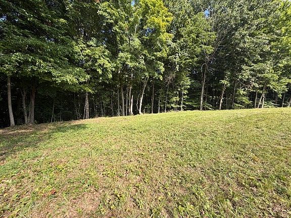 3rd image of 0 Collins Rd