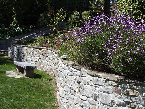 Side Yard looking to fountain