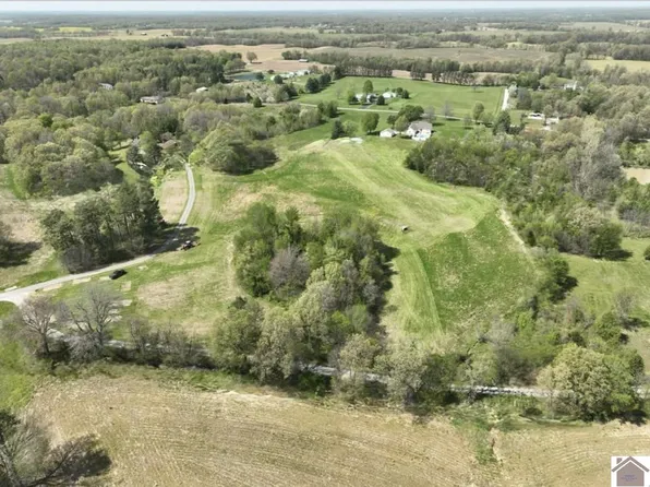 11514 State Route 121 N, Fancy Farm, KY 42039