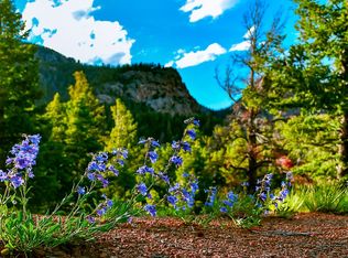 7171 Little Turkey Creek Rd LOT 2, Colorado Springs, CO 80926