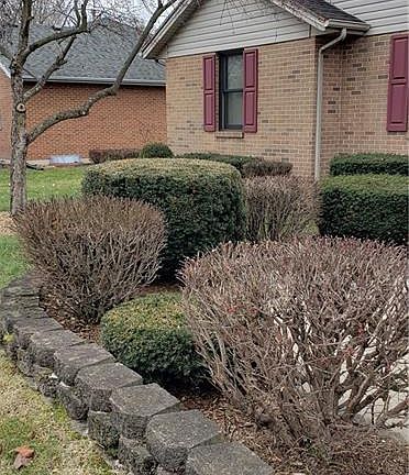 3rd image of 170 Earnhart Dr