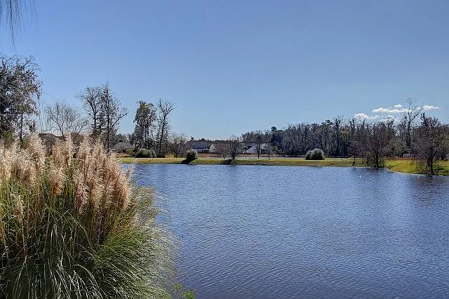 Pond