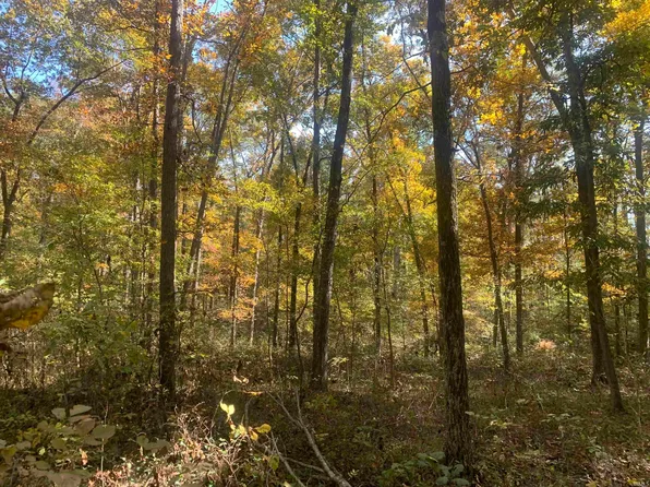10099 Wheatonville Rd, Elberfeld, IN 47613