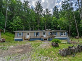 49 Osovski Rd, Candor, NY 13743