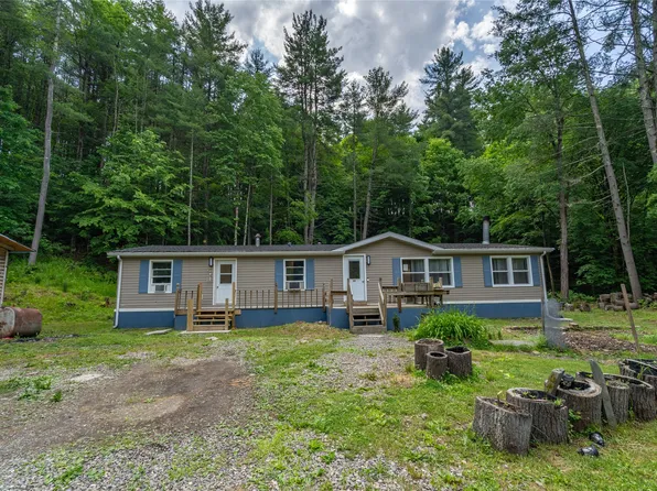 49 Osovski Rd, Candor, NY 13743