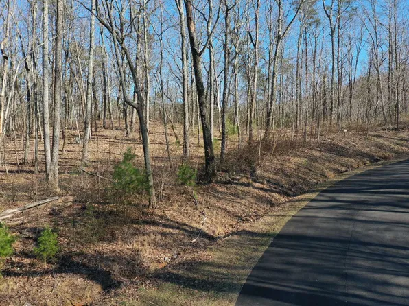 166 Trailwood Dr, Ellijay, GA 30536