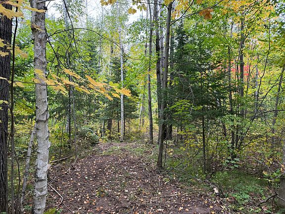 3rd image of 51181 Sand Creek Rd