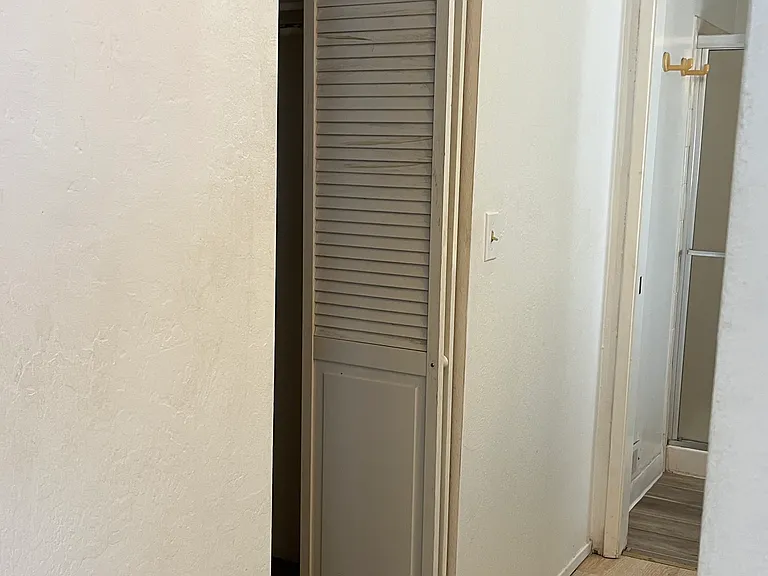Large primary bedroom walk-in closet across from vanity area