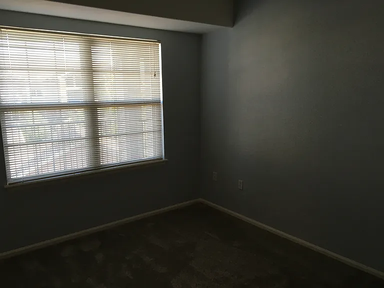 10805 S Twenty Mile Rd #303 — Photo 14