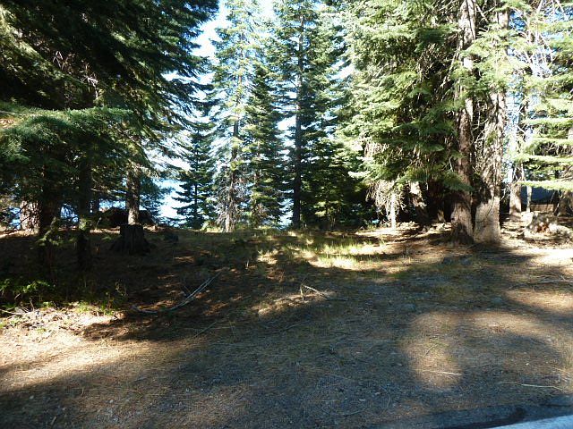 2nd image of 1411 Lassen View Dr