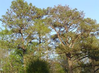 13700 Second Branch Rd, Chesterfield, VA 23838