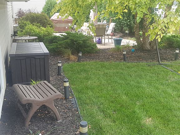 Back yard