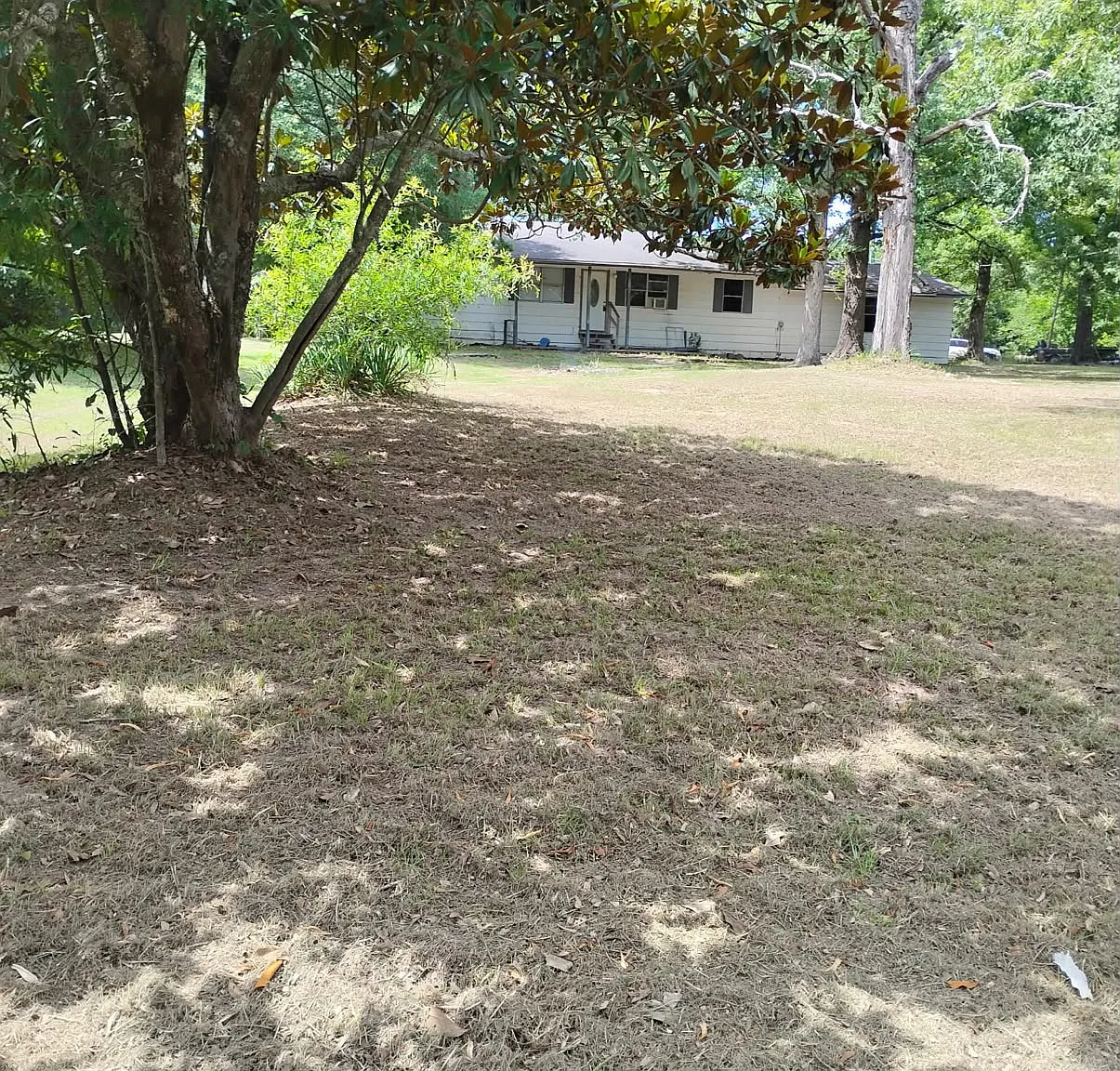 3 bed, 1752 sqft, $550 — Photo 3