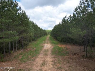 2354 Willie Redden Rd, Greensburg, LA, 70441