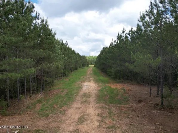 2354 Willie Redden Rd, Greensburg, LA 70441