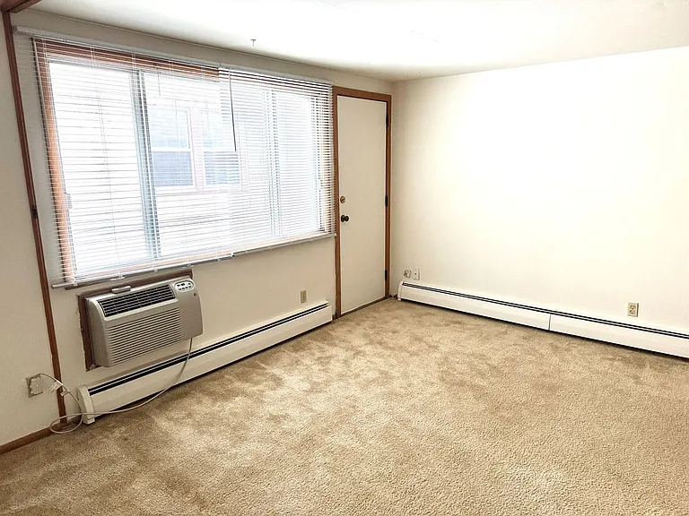 332 W Wilson St — Photo 6
