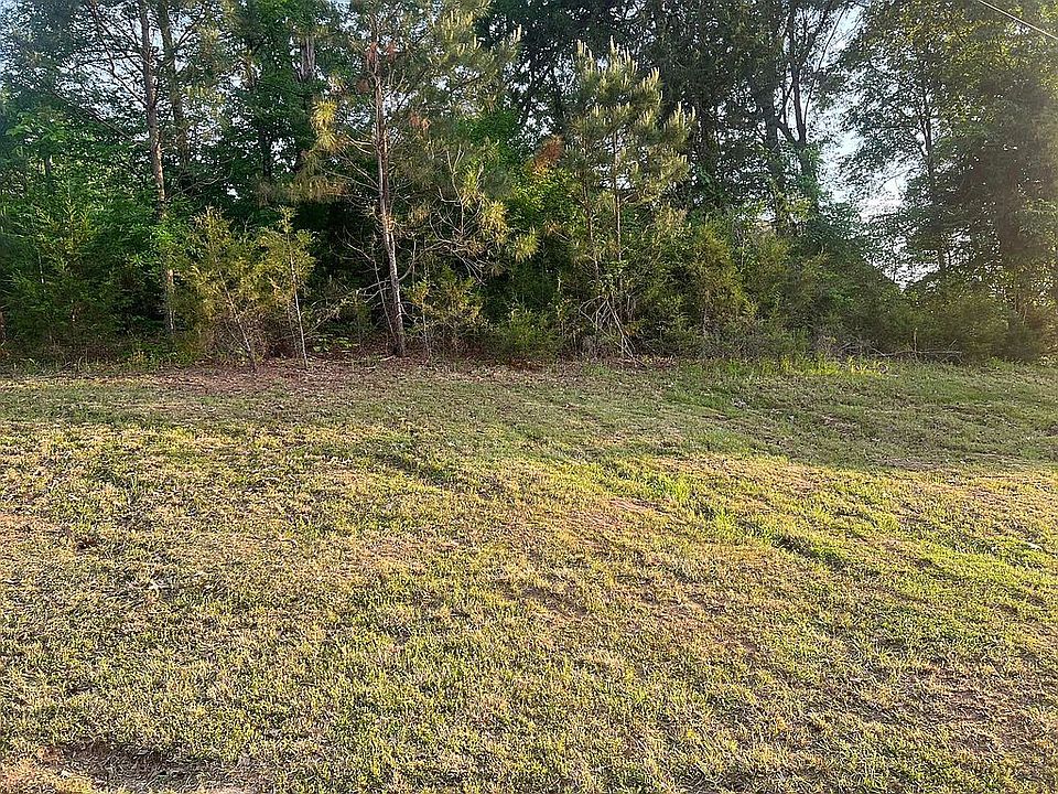 2nd image of 108 Cherrydale Loop