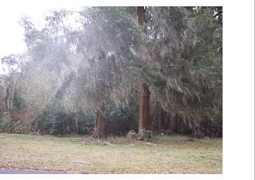 4th image of D-2 SE Rosewood Cir