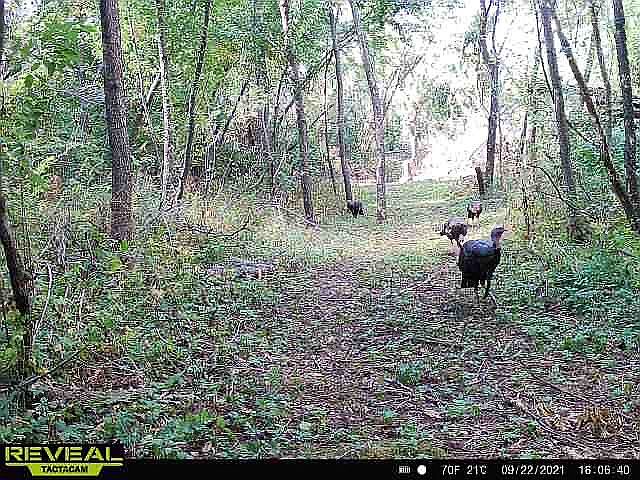 2nd image of 4 Norris Acre