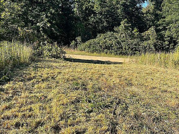 4th image of County Road 580 Wilderness Lake Properties #25