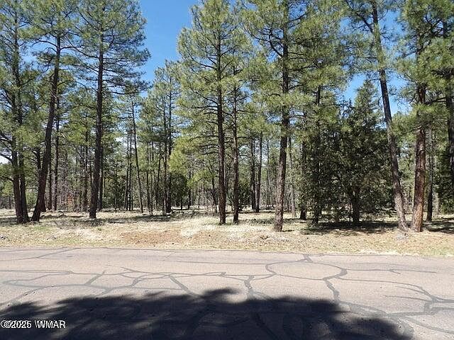 2nd image of 922 Pine Creek Dr