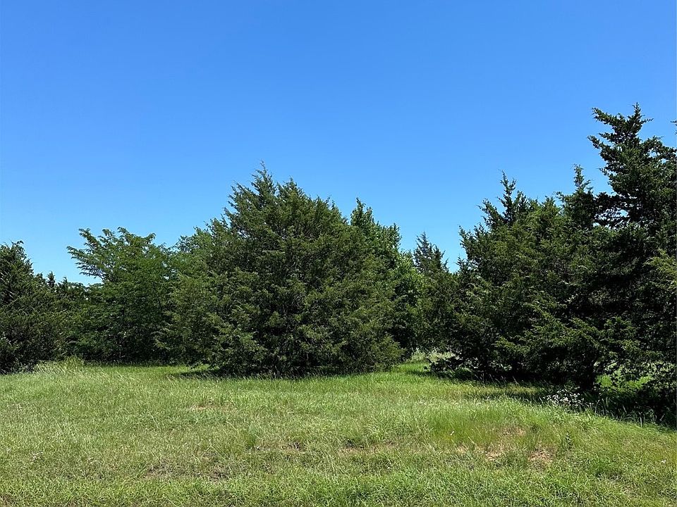 2nd image of Tbd La Paloma