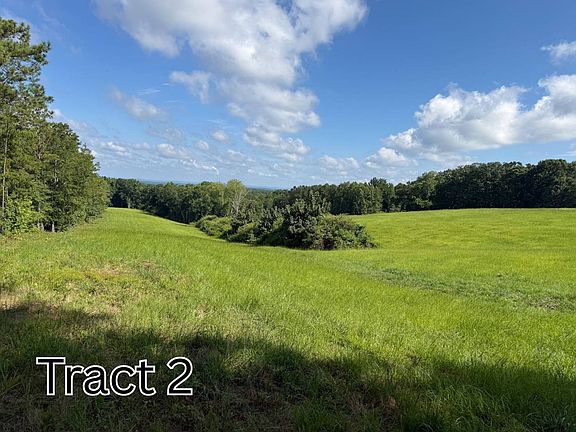 2nd image of TRACT 2 County Road 127