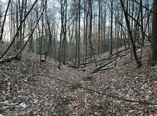 769 Big Pigeon Rd, Procious, WV 25164